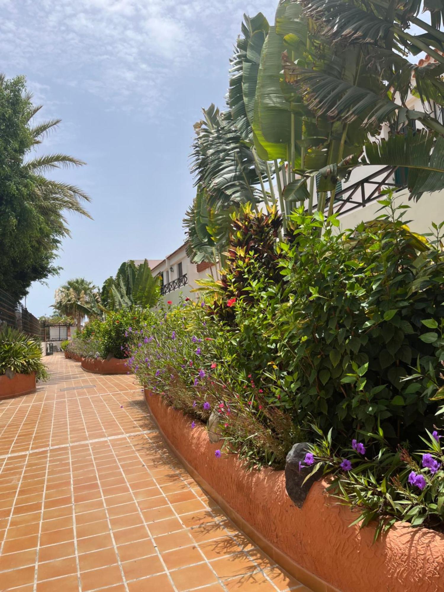 Casa Parque Don Jose 2 Apartamento Costa Del Silencio Exterior foto